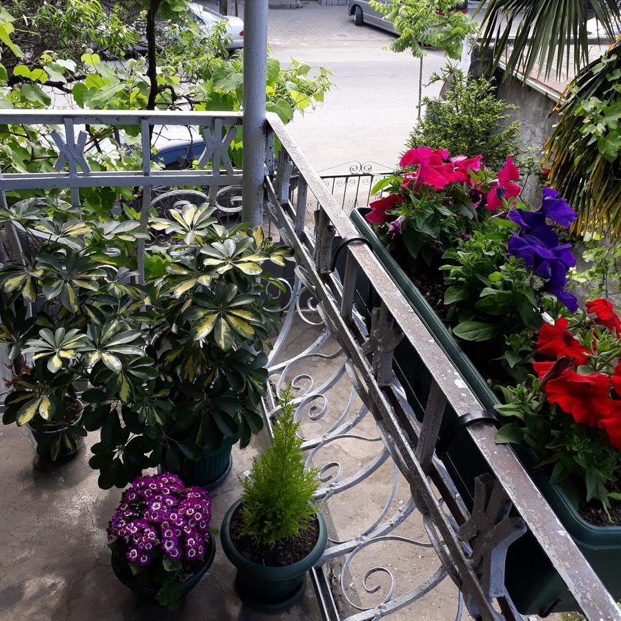 Homestay Izolda باتومي المظهر الخارجي الصورة