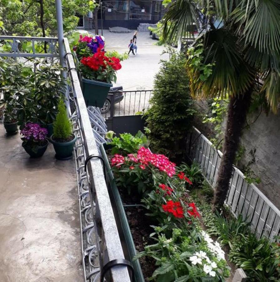 Homestay Izolda باتومي المظهر الخارجي الصورة